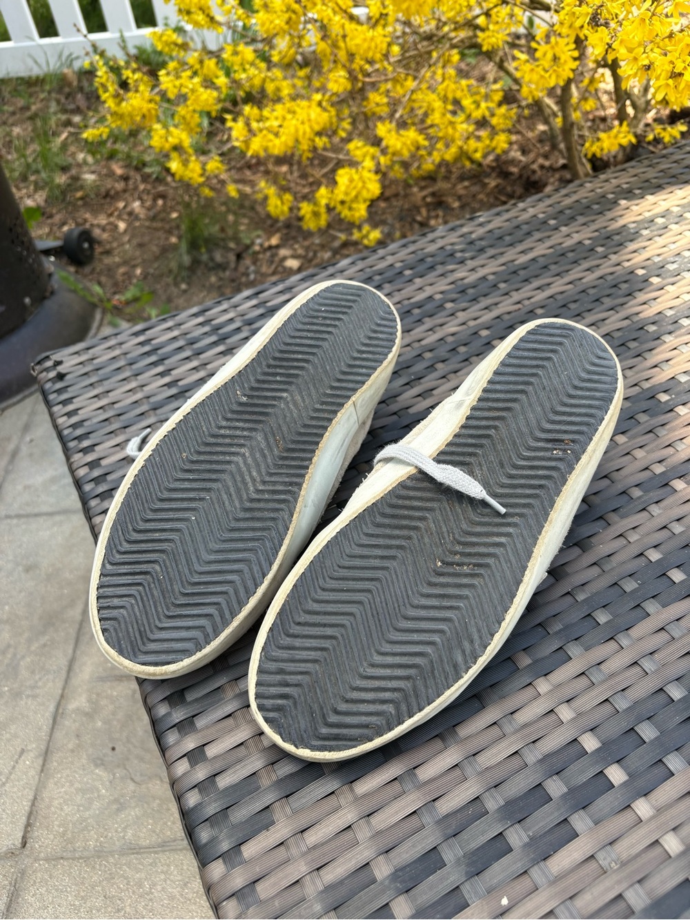 Golden GooSuede Star Sneakers in Light Gray - Picture 5 of 5